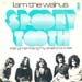 Sweden picture sleeve